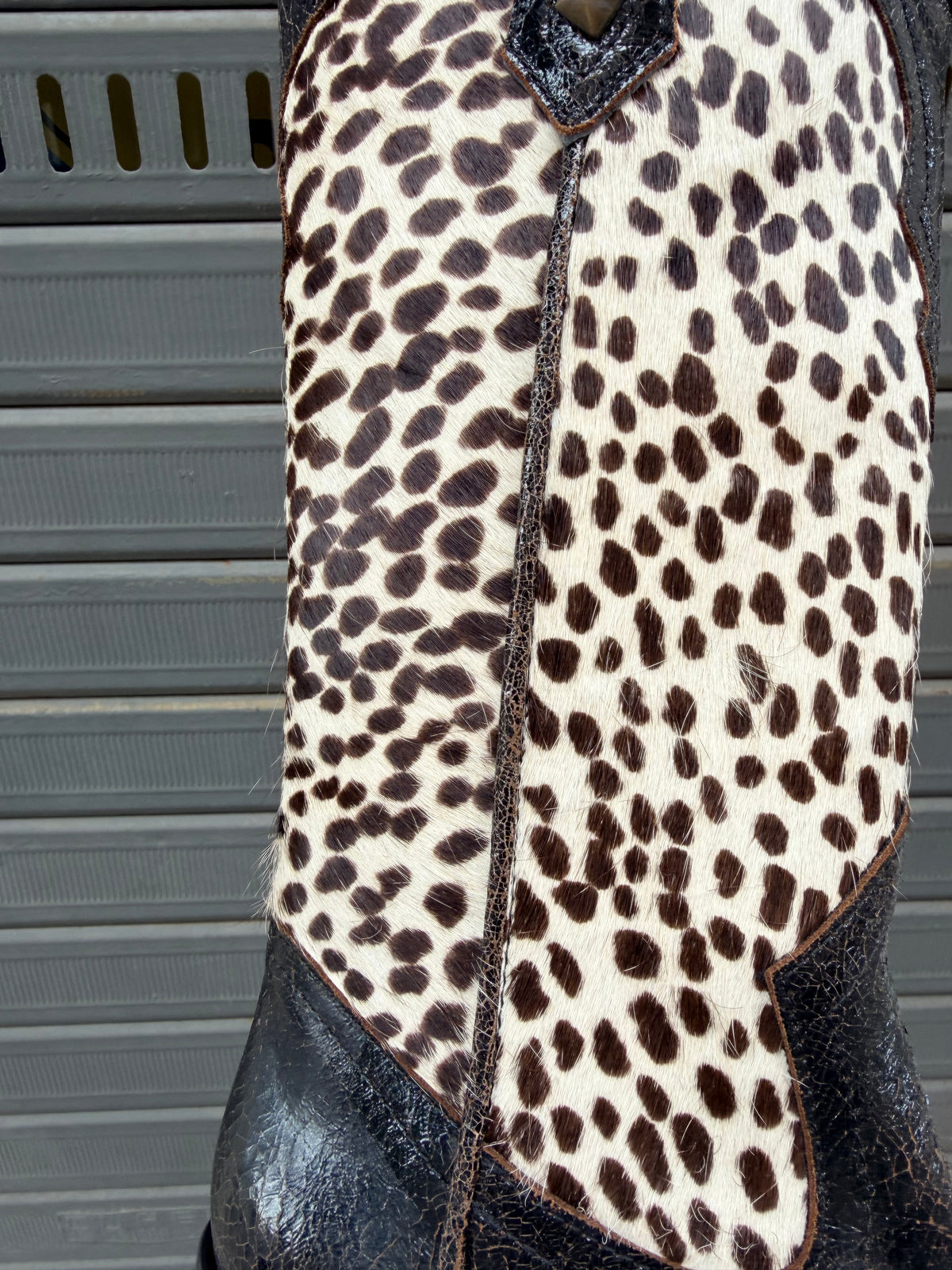 Texano Bambi Print