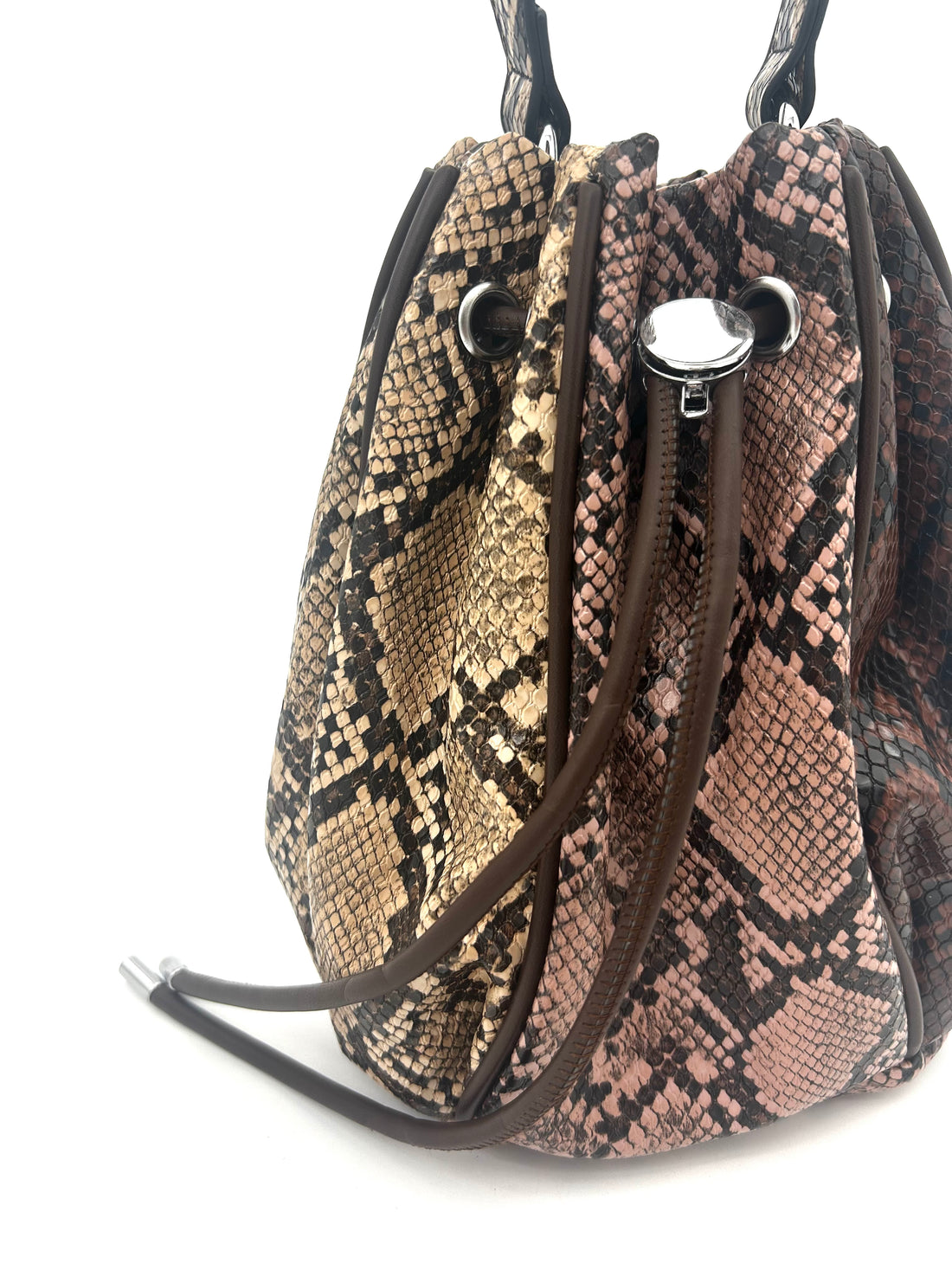 Secchiello Snake